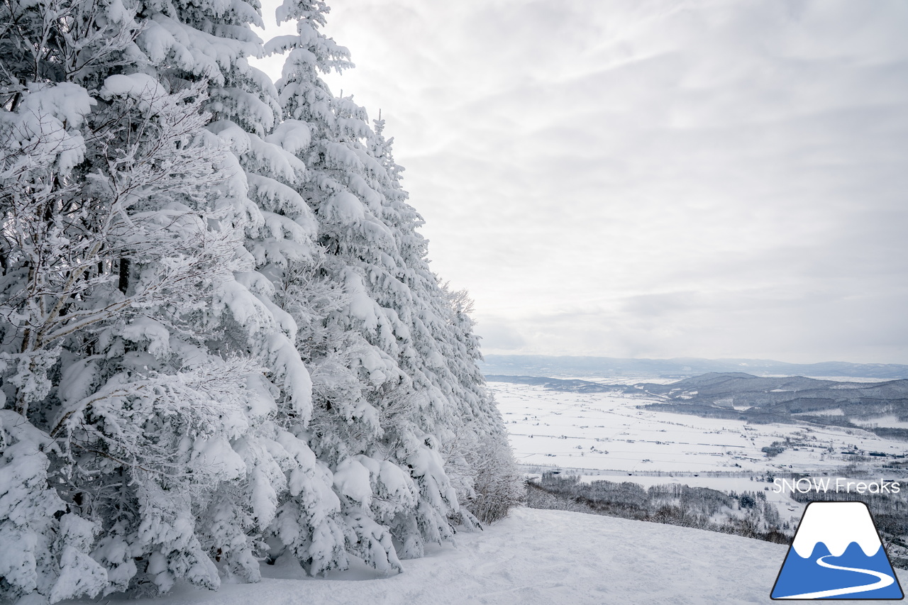 ぴっぷスキー場｜旭川紋別自動車道・比布北インターを降りたら約３分で到着。良質な雪、多彩なコース、抜群の眺望、美味しいグルメ、アフタースキーに温泉も。。。とっても高い満足度を誇るローカルゲレンデを滑ります(^^)/